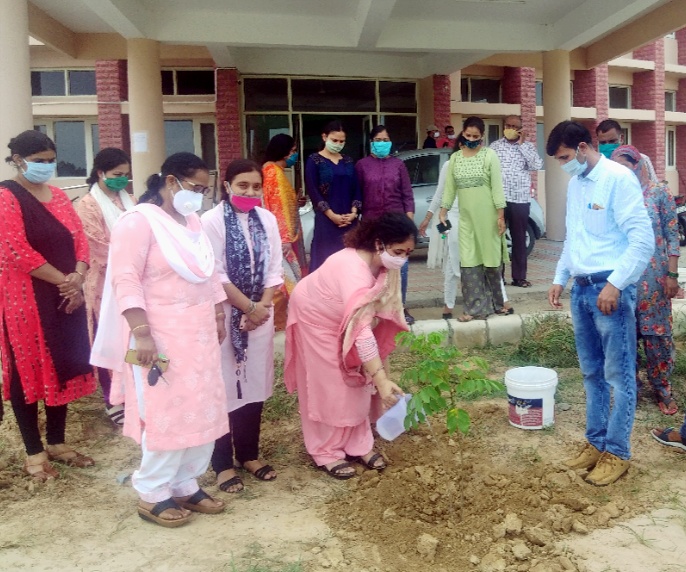 News image